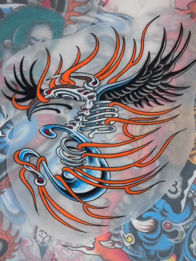 Tattoo of a phoenix rising from a dragon, with detailed black and orange feathers and blue accents, on skin surrounded by other tattoo designs.