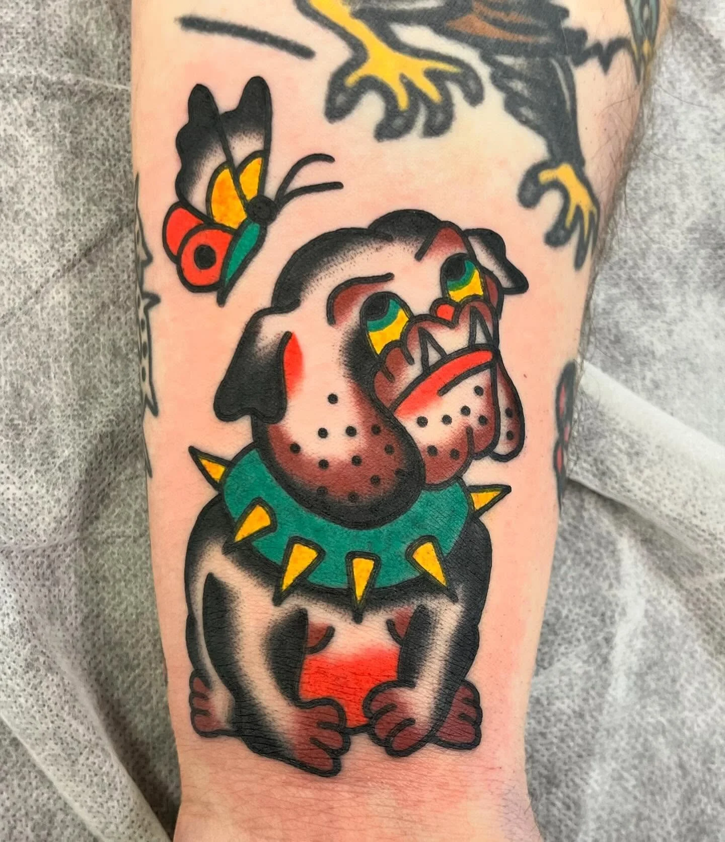 A colorful tattoo of a bulldog with yellow eyes, wearing a green spiked collar, and a black body with red shading on its chest. A butterfly with yellow, red, black, and green wings is flying above the dog's head, and limbs of a lizard or similar crea