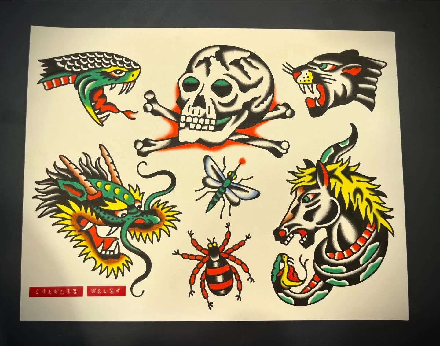 Tattoo sheet with skull and crossbones, two snarling cats, a dragon, a bee, a snake, a small bird, a dragonfly, and a spider, all in traditional tattoo style.