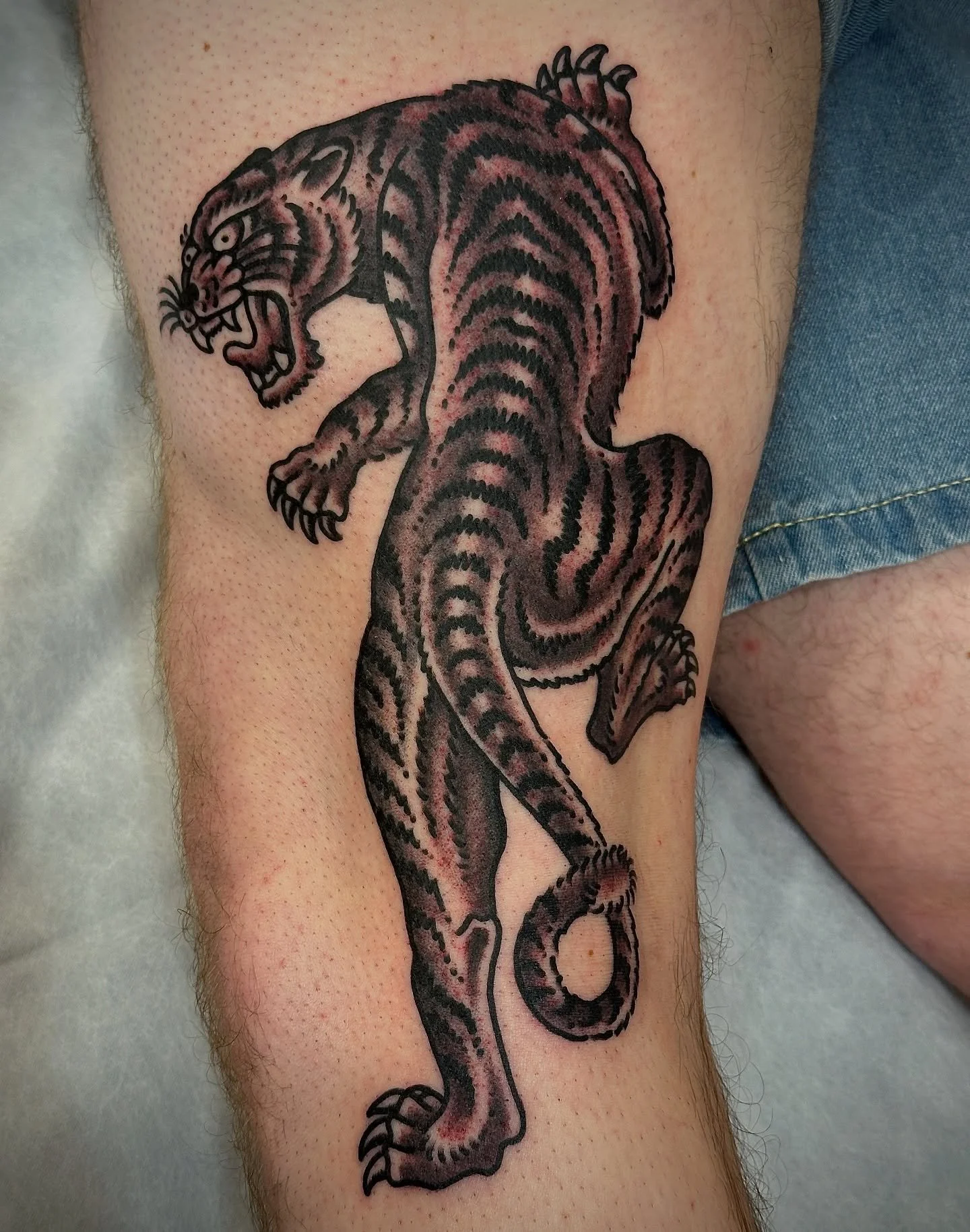 Tattoo of a fierce tiger with black and gray stripes on a person's thigh.