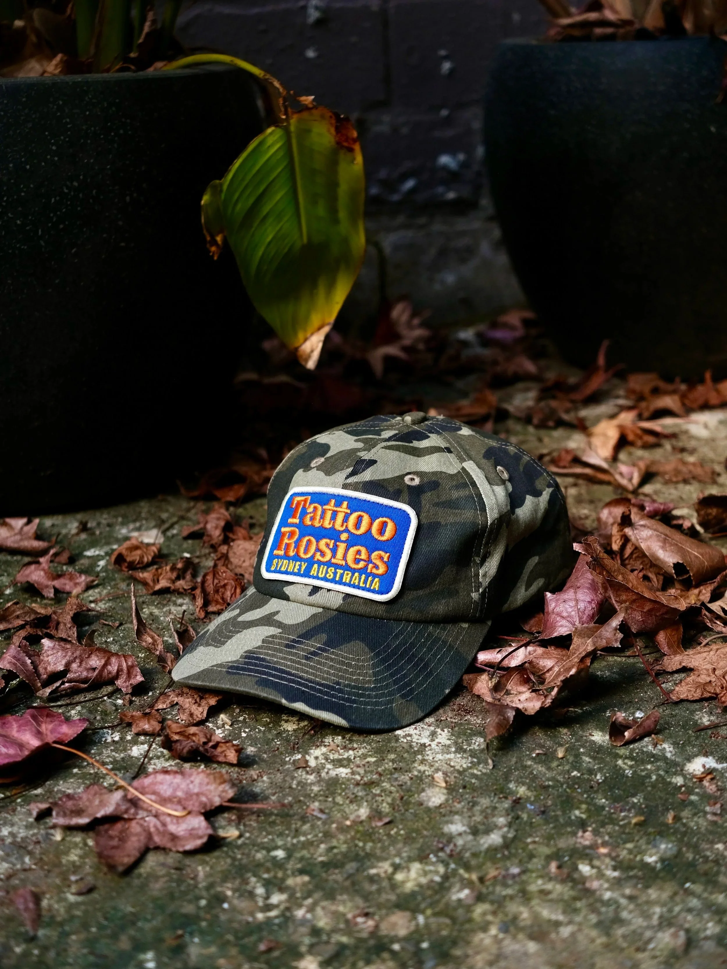 DSCF3263.jpg