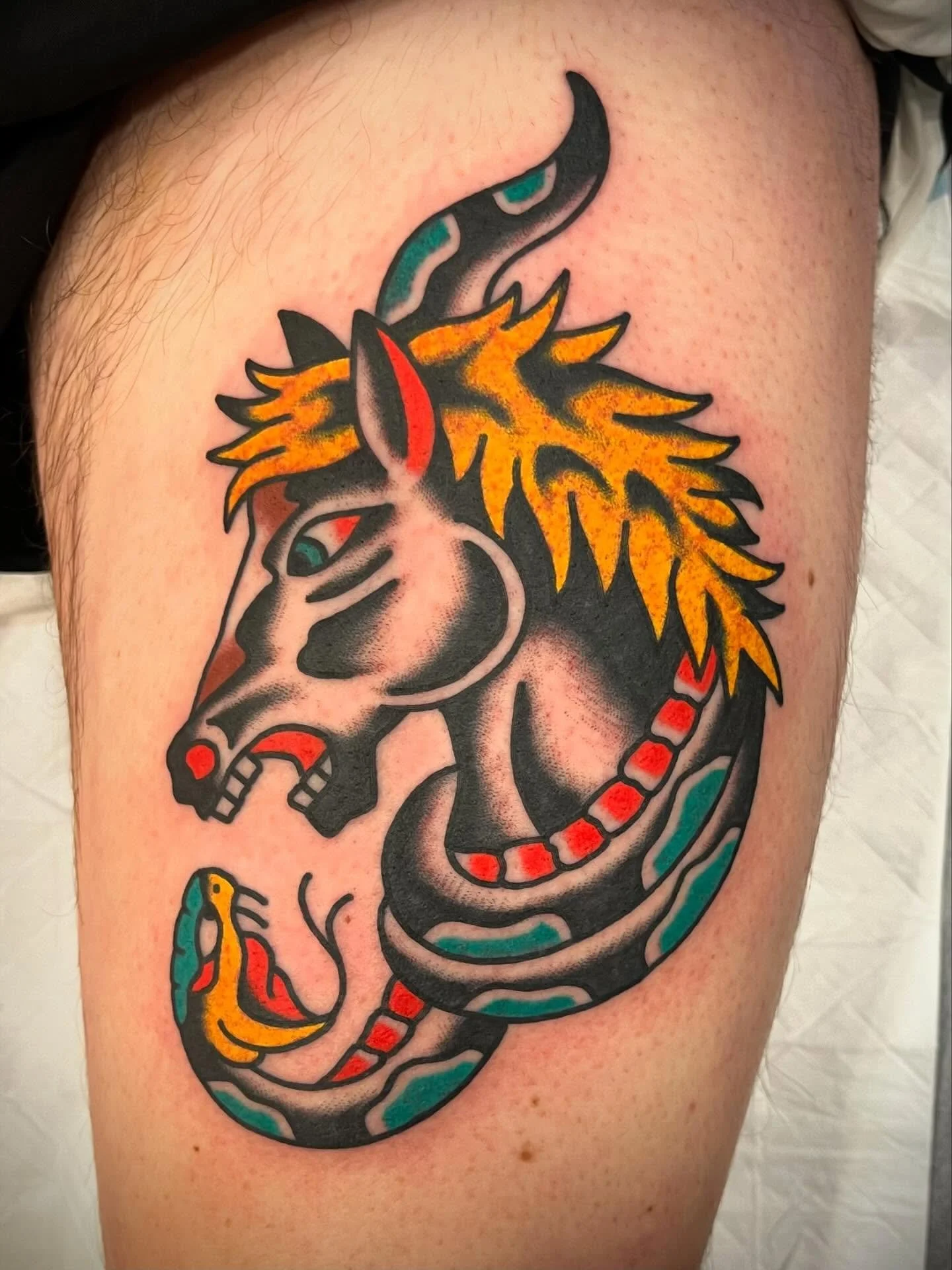 Tattoo of a mythical creature with the body of a snake, a dragon-like head, yellow mane, and a forked tail, featuring black, red, and teal colors.