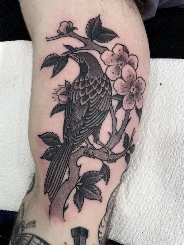 By Matt Mill