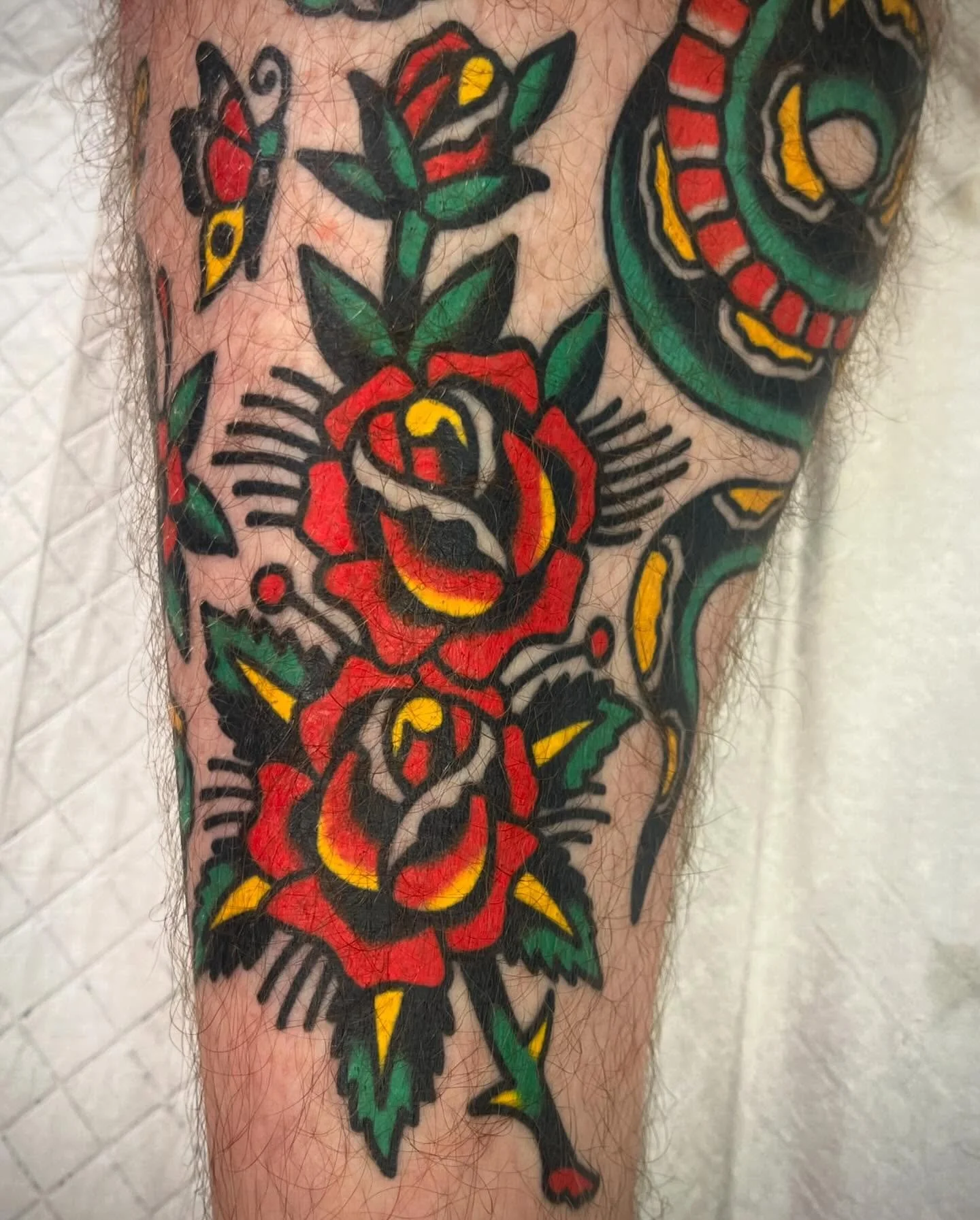 Close-up of a traditional tattoo on a person's leg featuring red roses with yellow accents, green leaves, and a snake coiled around the roses, with bold black outlines and shading.