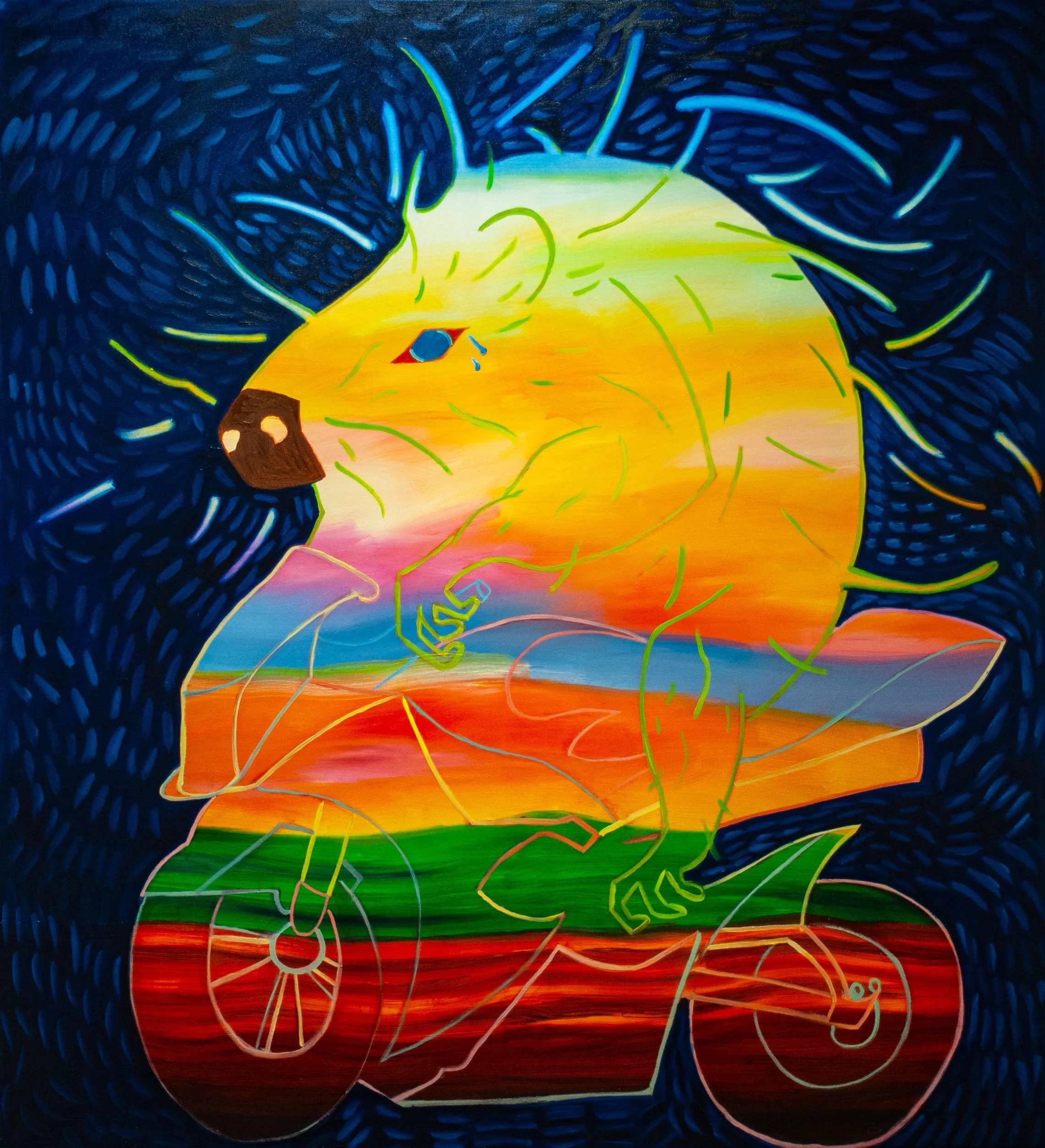 12-muzammil-hussain-rainbow-junky.jpg