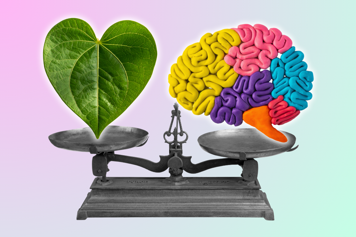 A vintage balance scale with a green leaf on one side and a colorful, cartoon-like brain on the other side.