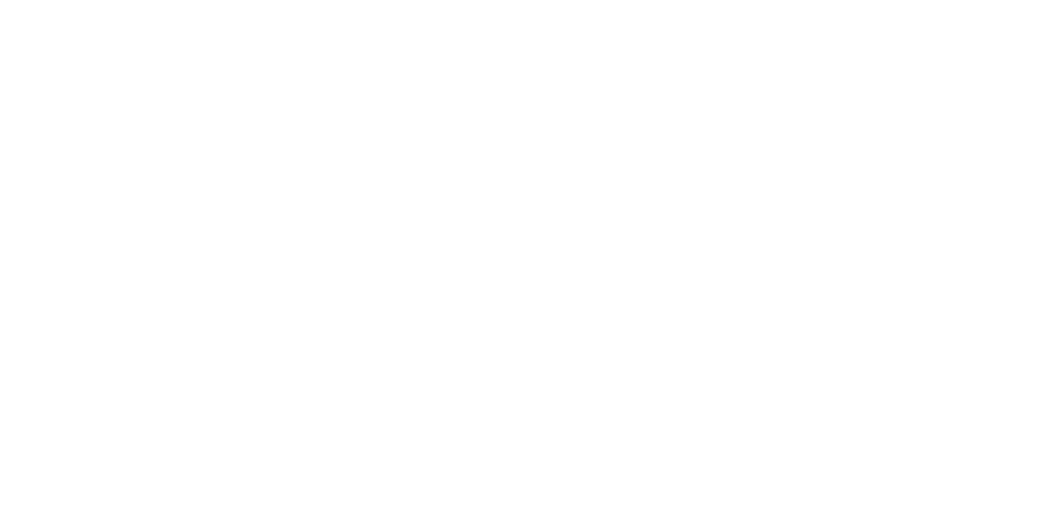 European Summer Society