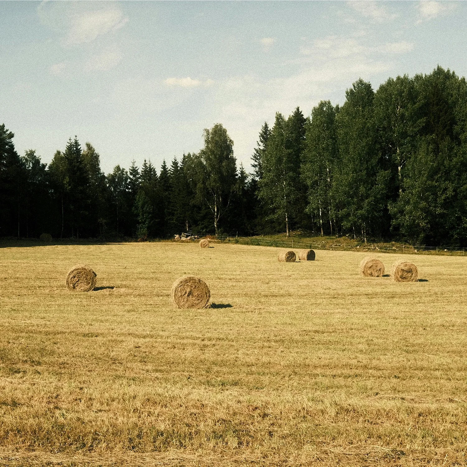 Generationsskifte – jord & skog eller annan egendom 