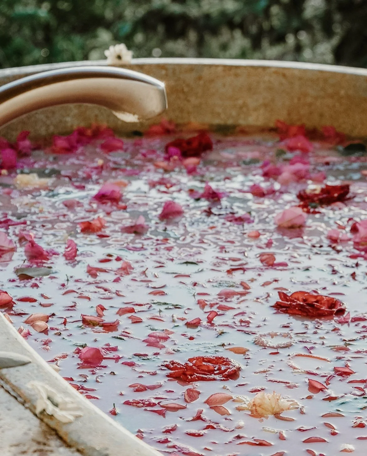 A large metal basin filled with water and flower petals in shades of pink, red, and white.