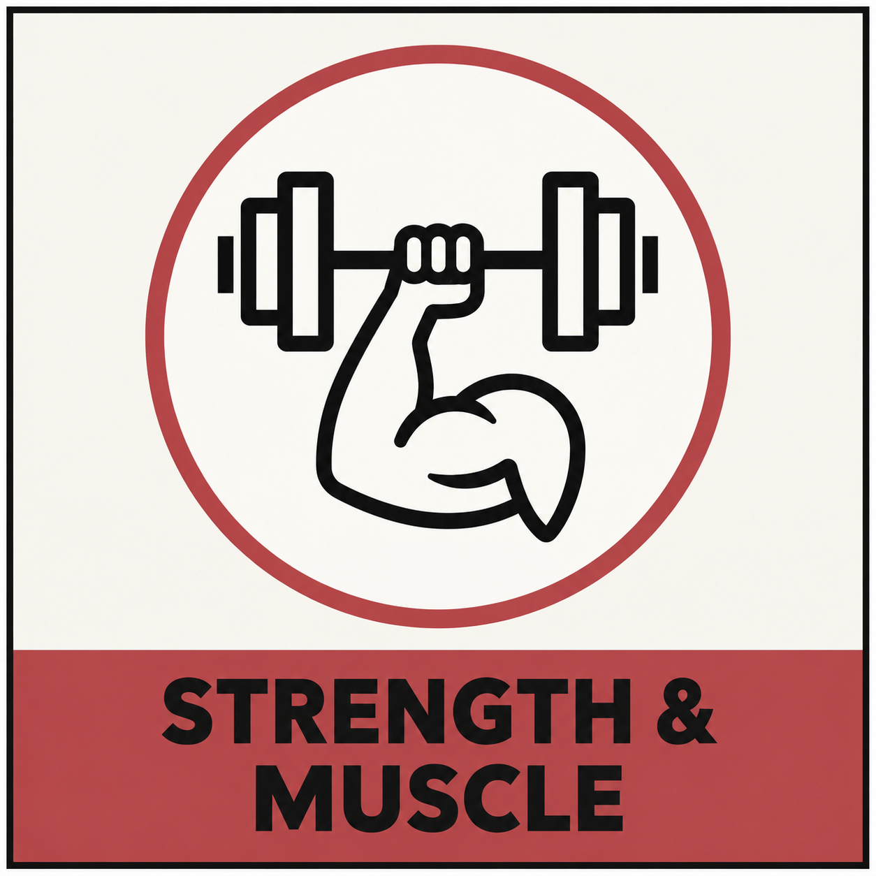 Explore strength and muscle programs