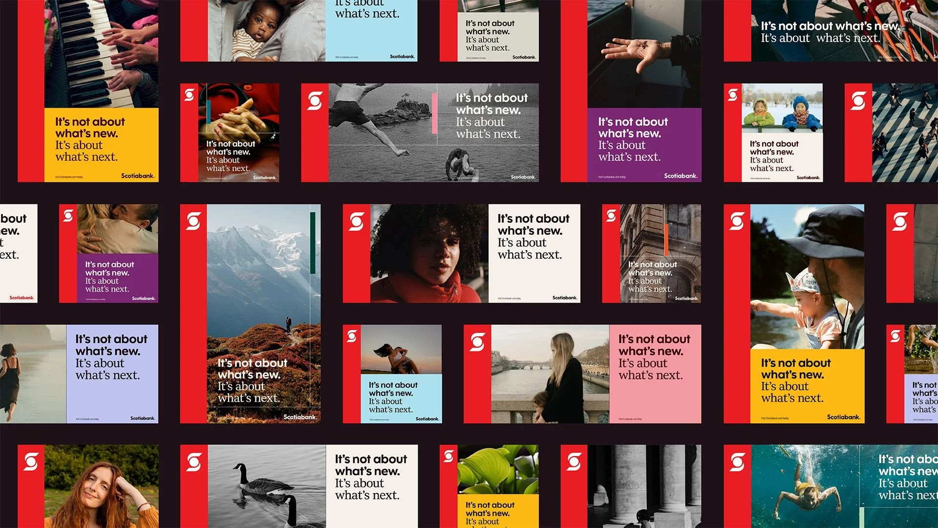 Scotiabank Brand Refresh