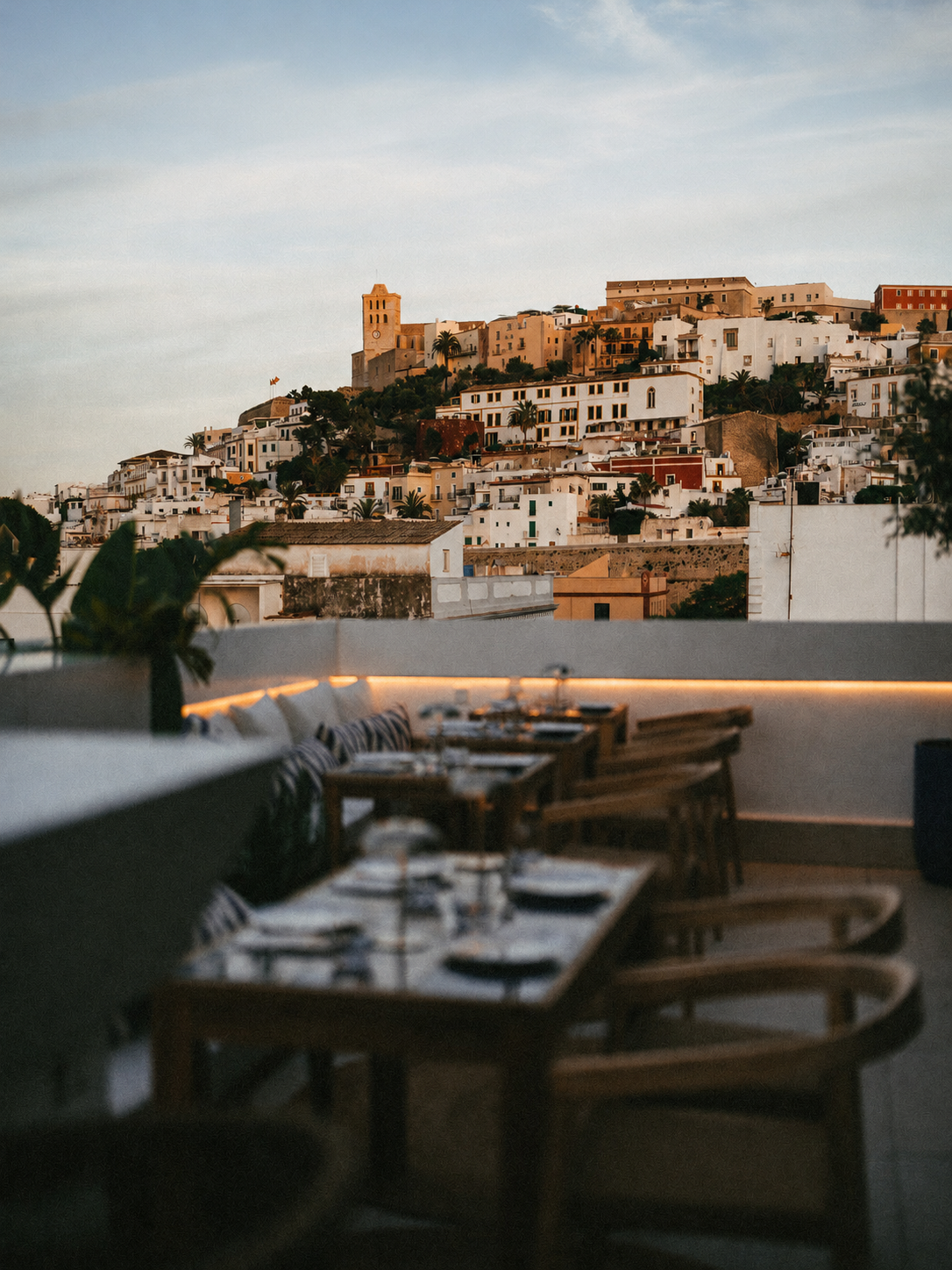 · Cocktail bar in Ibiza ·
