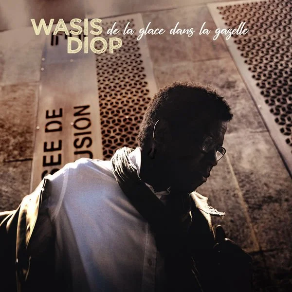 Cover Wasis Diop-De la glace dans la gazelle.jpg
