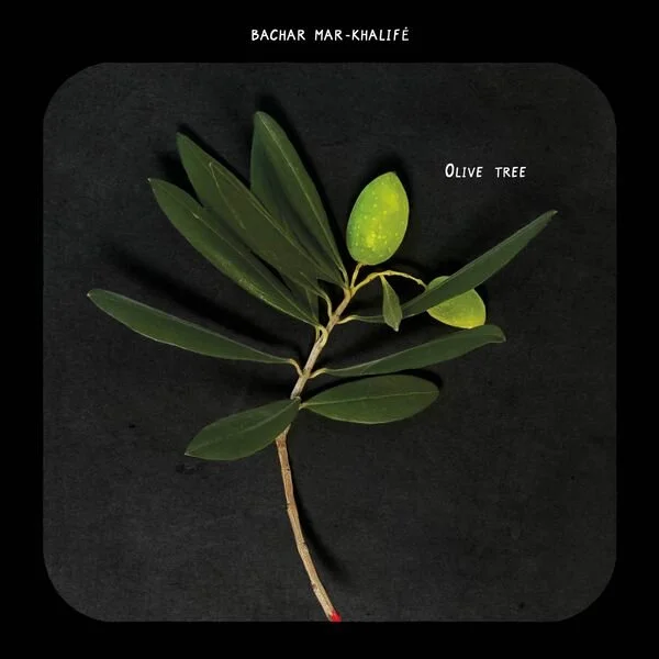 Pochette album-Bachar Mar-Khalifé-Olive Tree