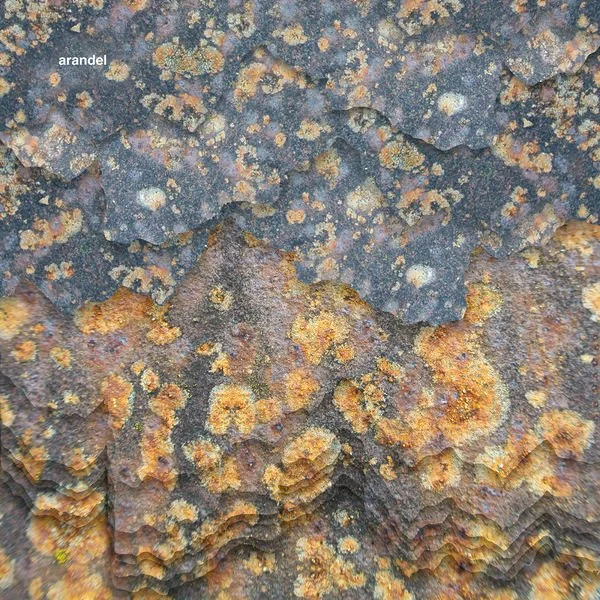 Cover Arandel-Solarispellis