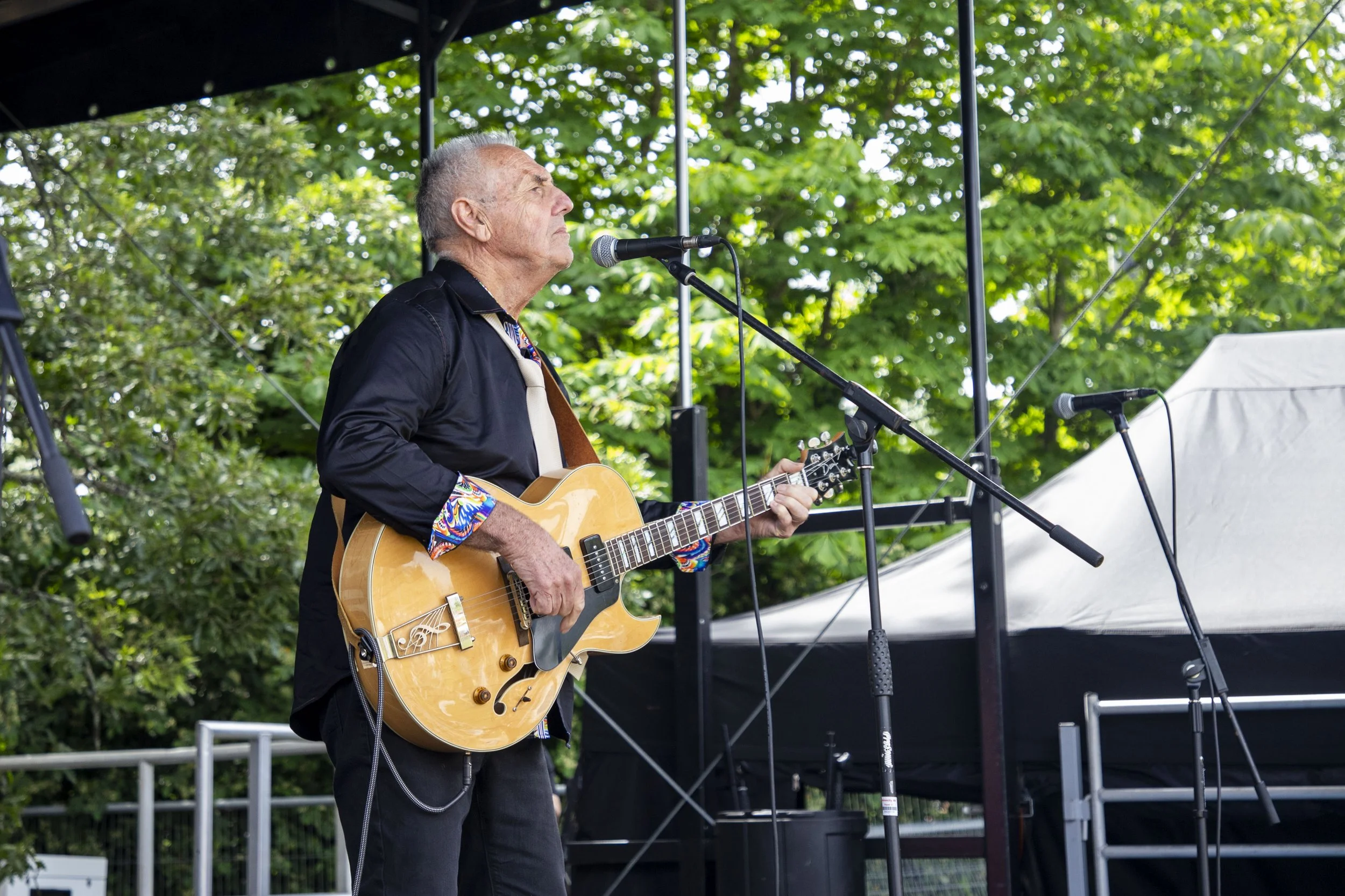 14-06-26_WTC_FolkFestival_BattleOfTheBands_210.jpg