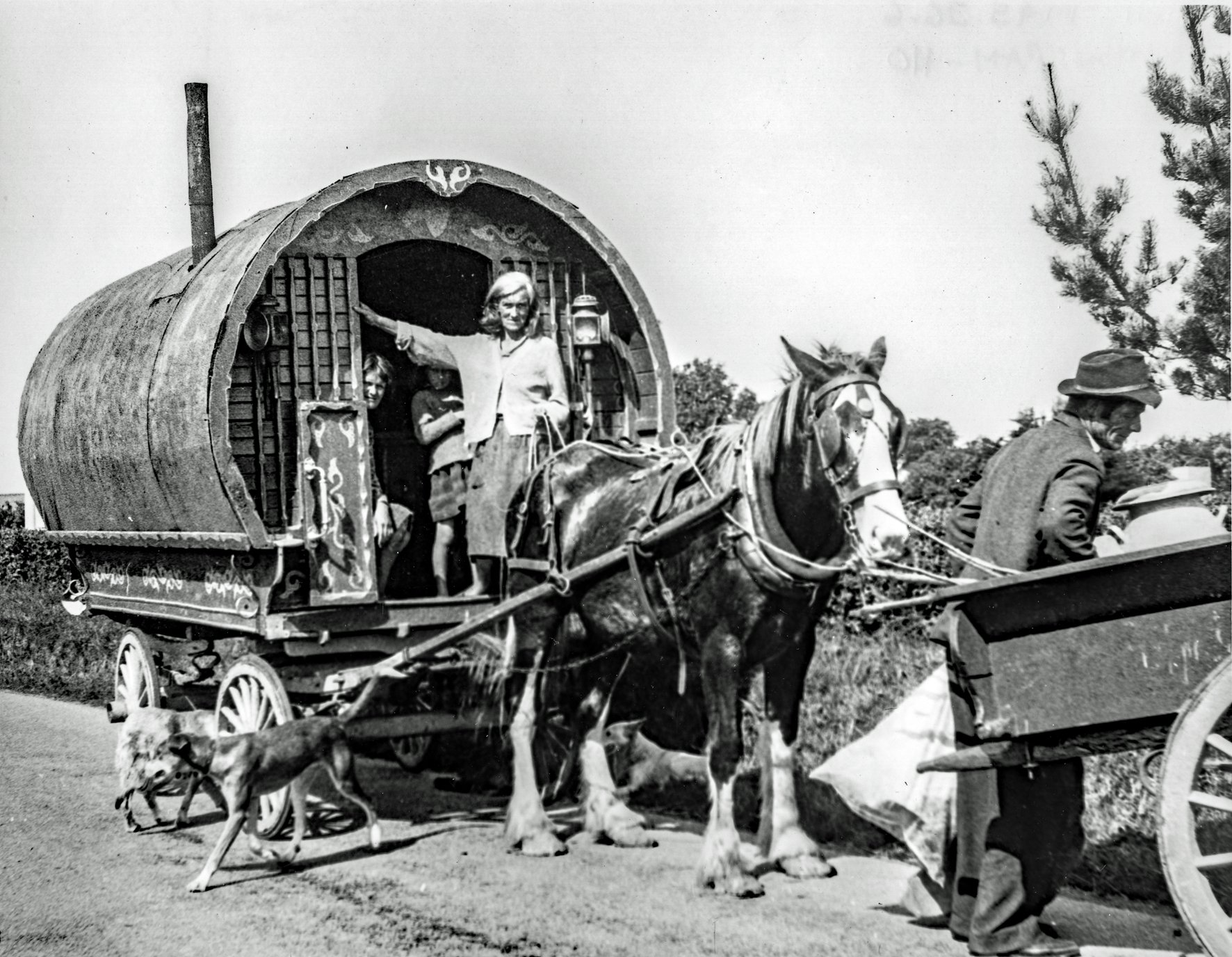 home: gypsy & traveller lives in dorset
