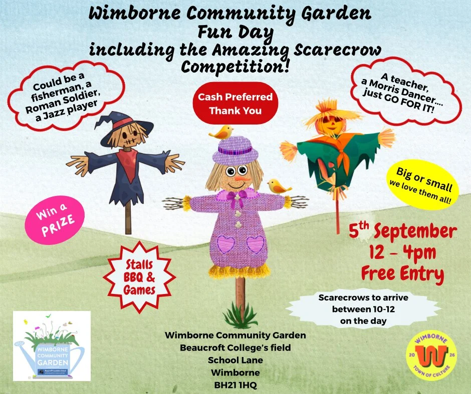 wimborne community fun day