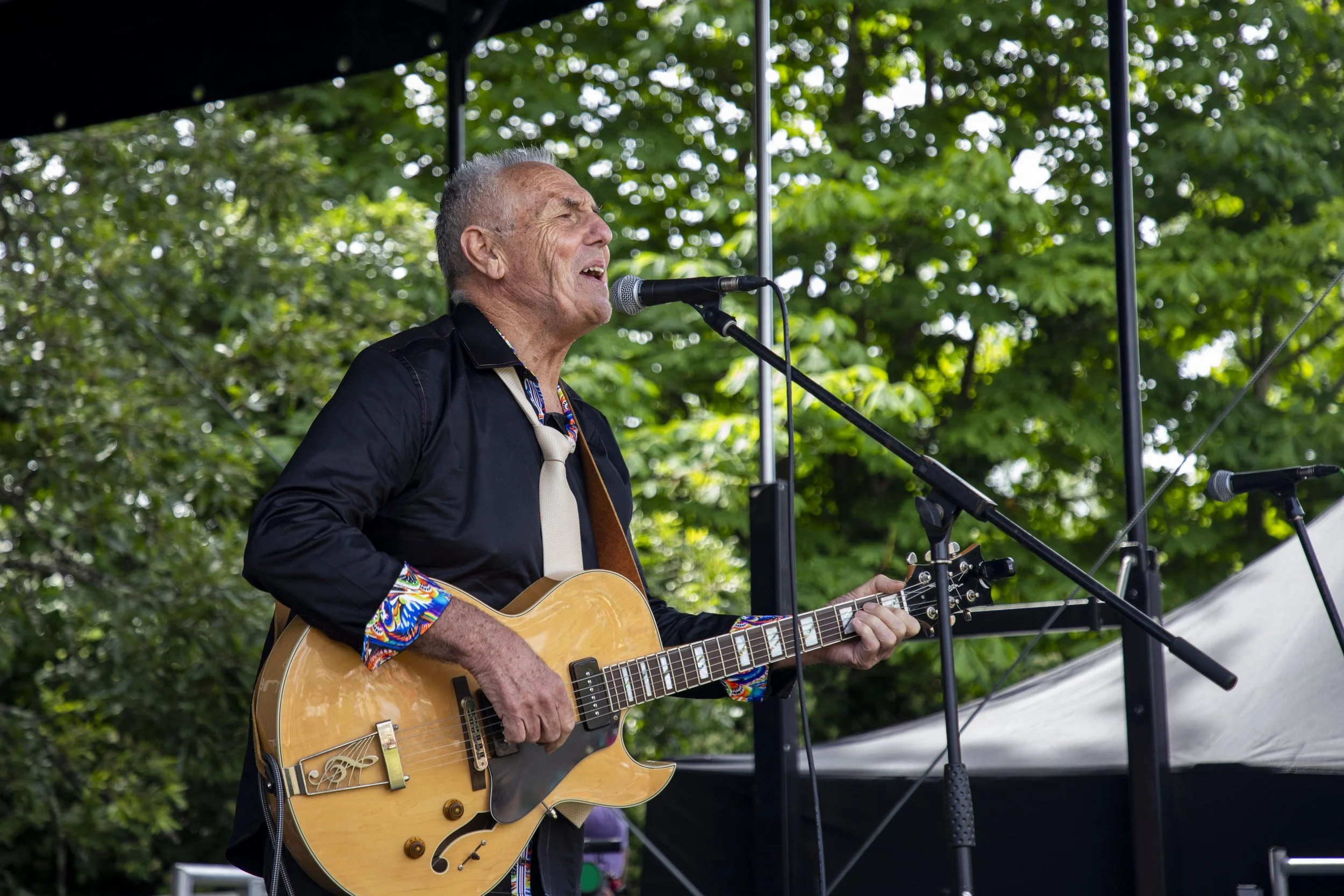 14-06-26_WTC_FolkFestival_BattleOfTheBands_209.jpg
