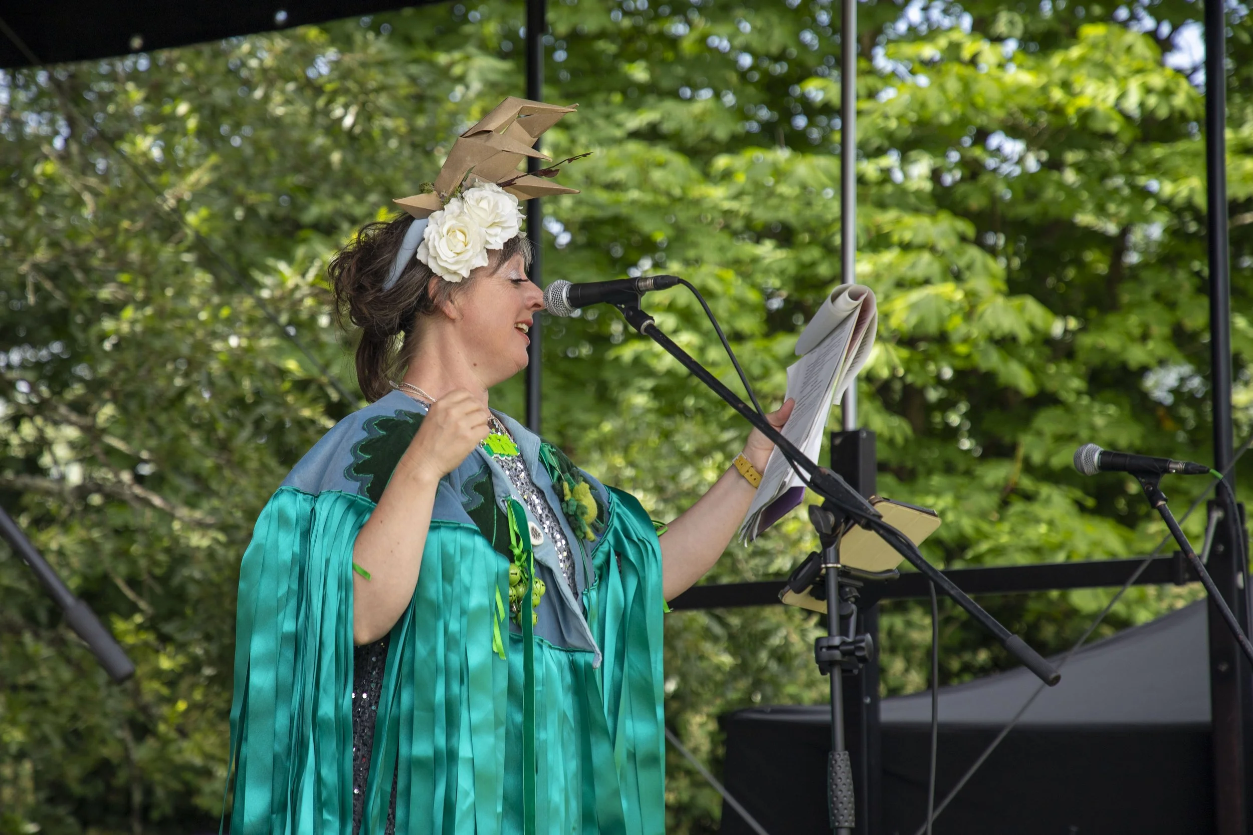 14-06-26_WTC_FolkFestival_BattleOfTheBands_86.jpg
