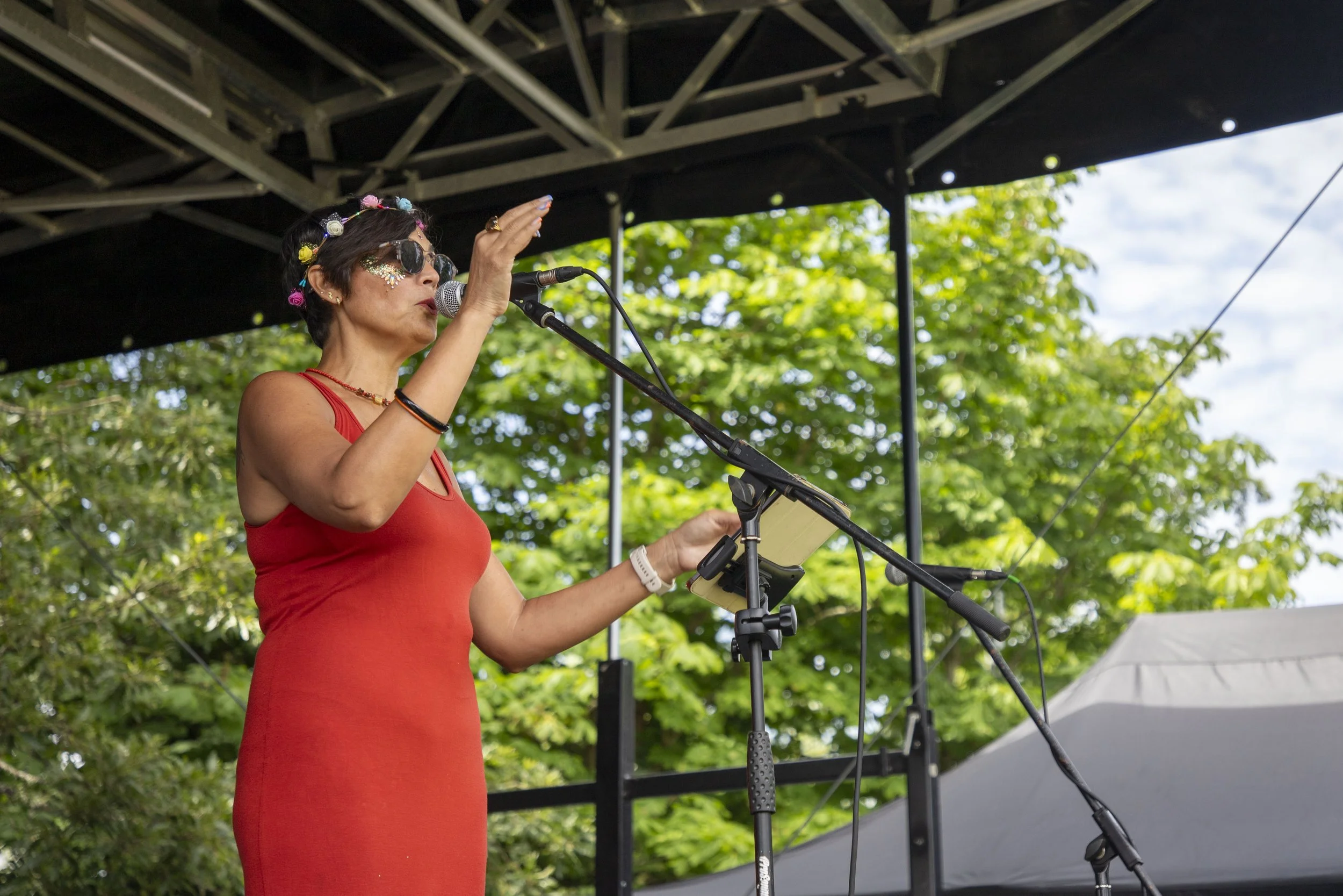 14-06-26_WTC_FolkFestival_BattleOfTheBands_89.jpg