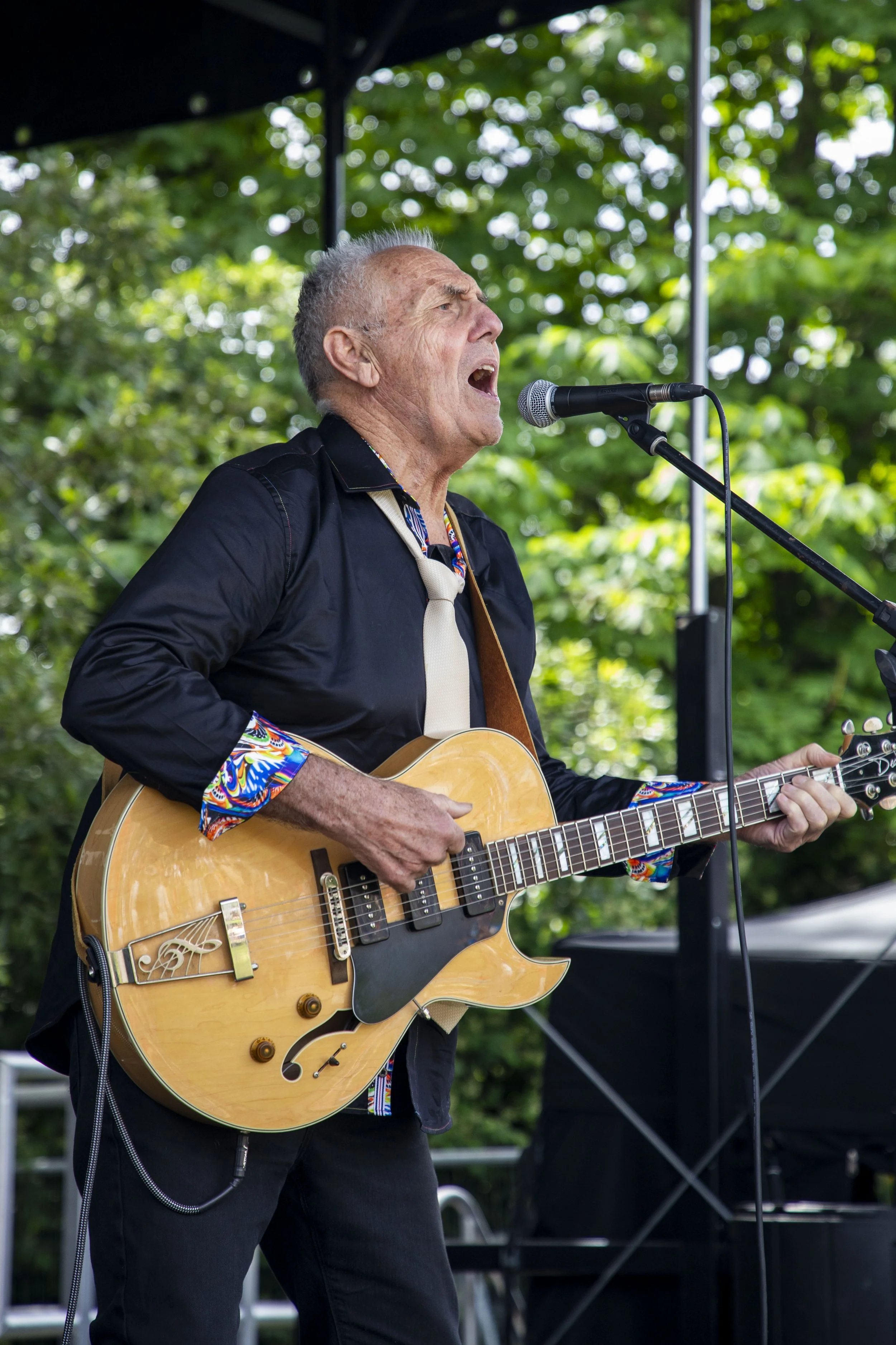 14-06-26_WTC_FolkFestival_BattleOfTheBands_207.jpg