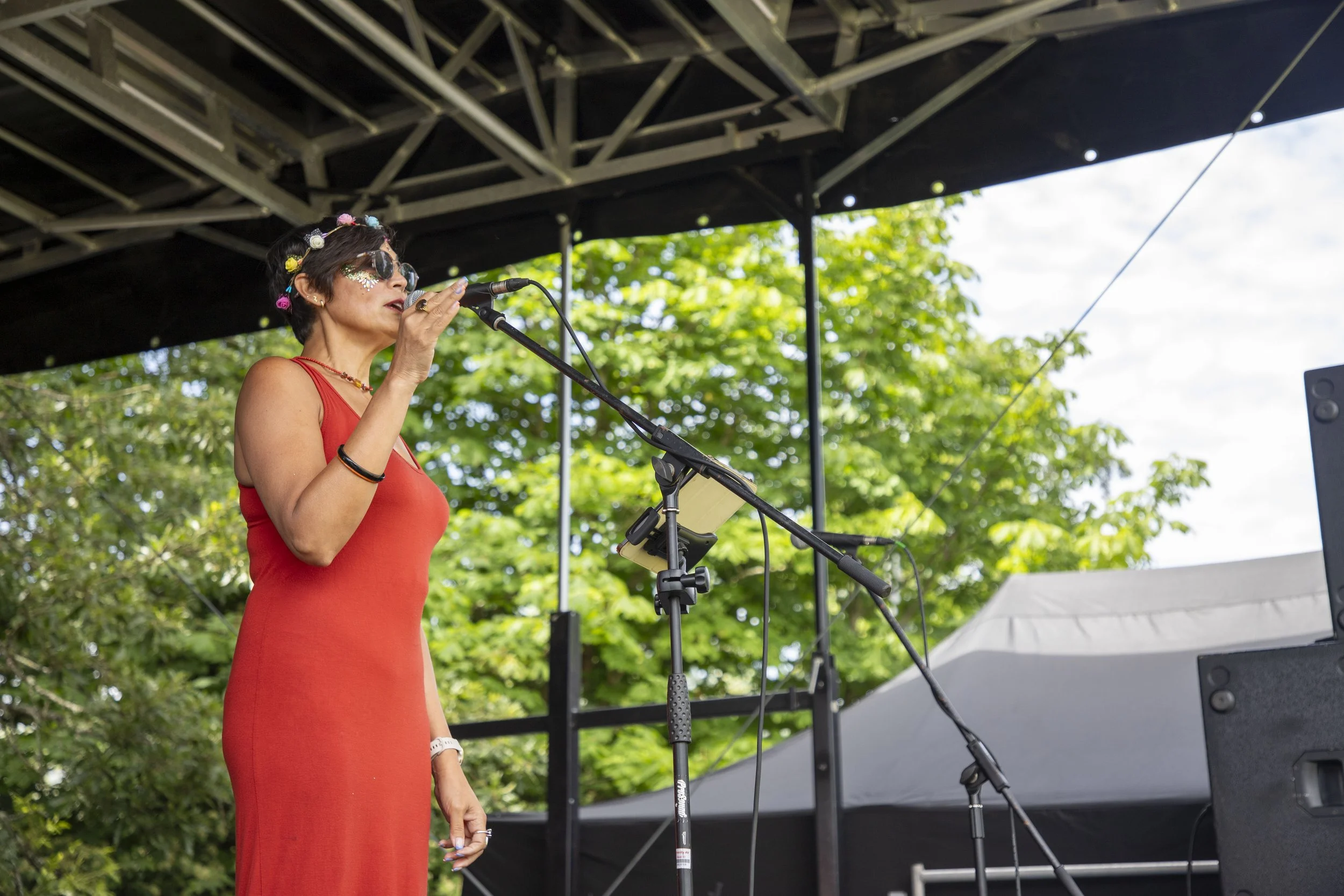 14-06-26_WTC_FolkFestival_BattleOfTheBands_90.jpg
