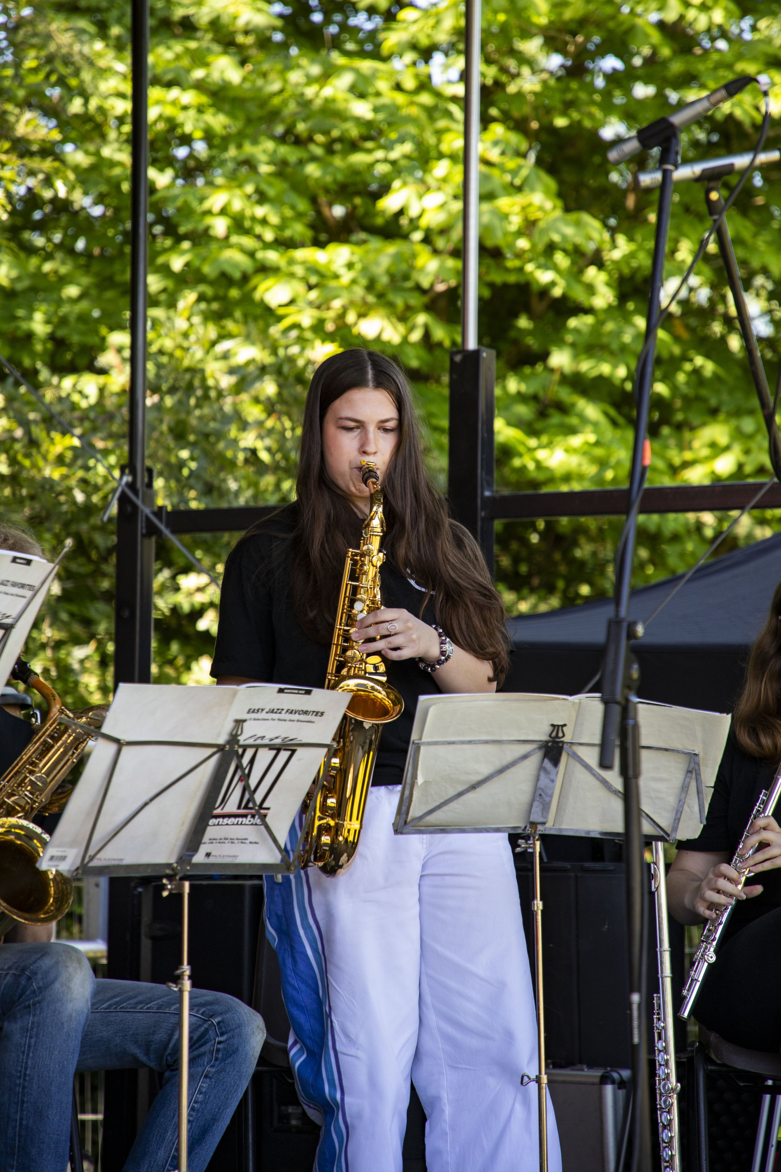 13-06-26_WTC_FolkFestival_YouthTakeover_4.jpg