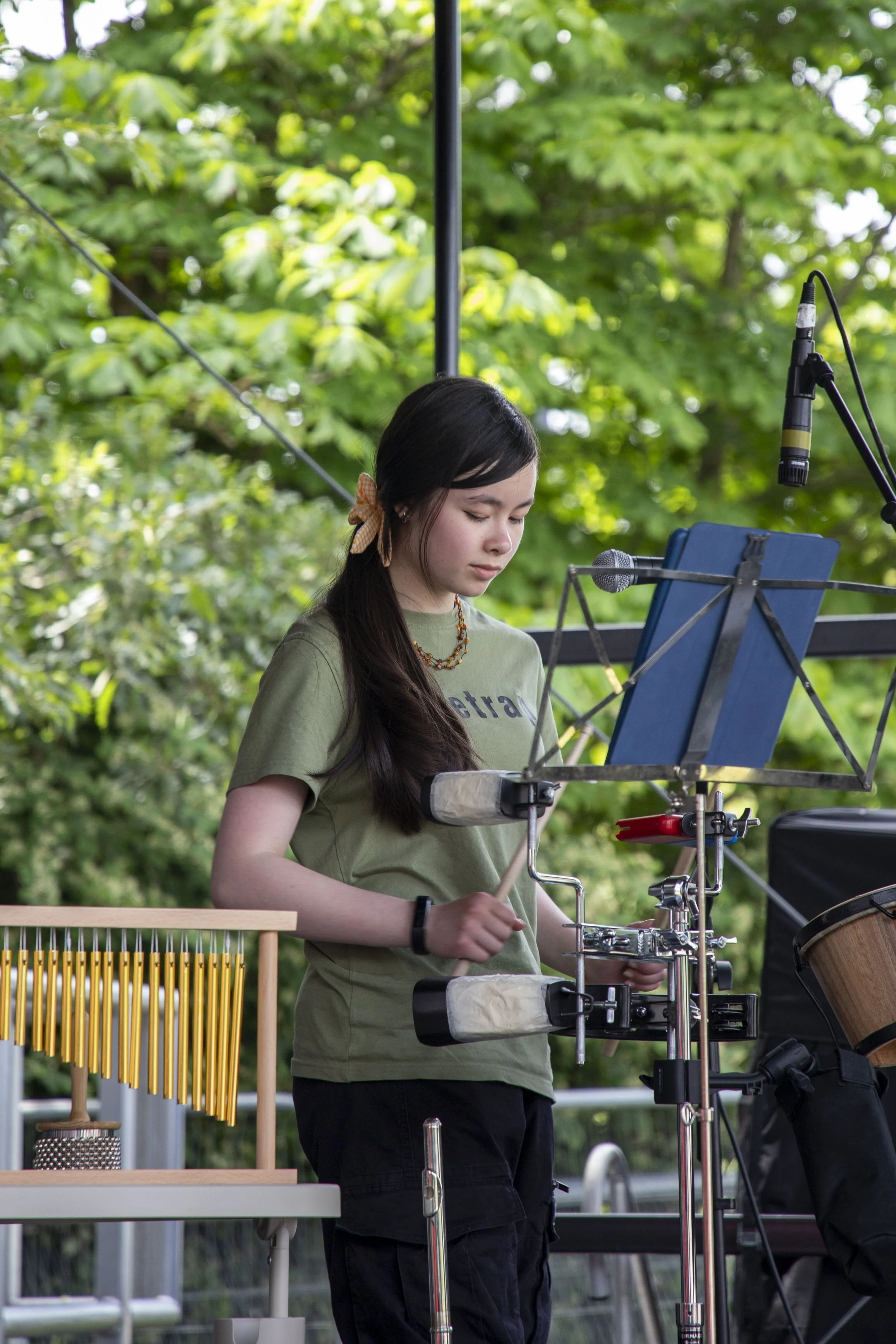 14-06-26_WTC_FolkFestival_BattleOfTheBands_163.jpg
