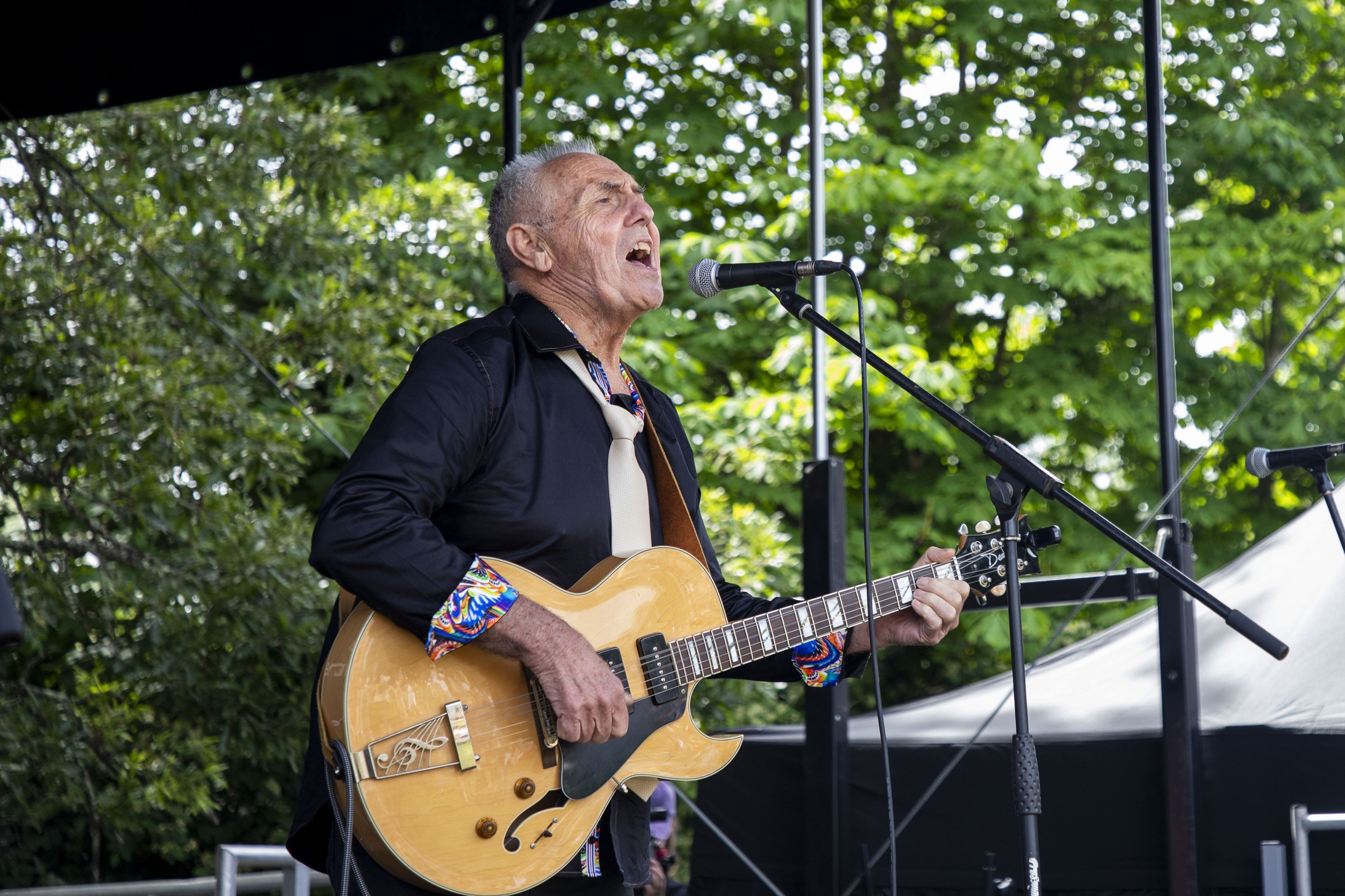 14-06-26_WTC_FolkFestival_BattleOfTheBands_208.jpg