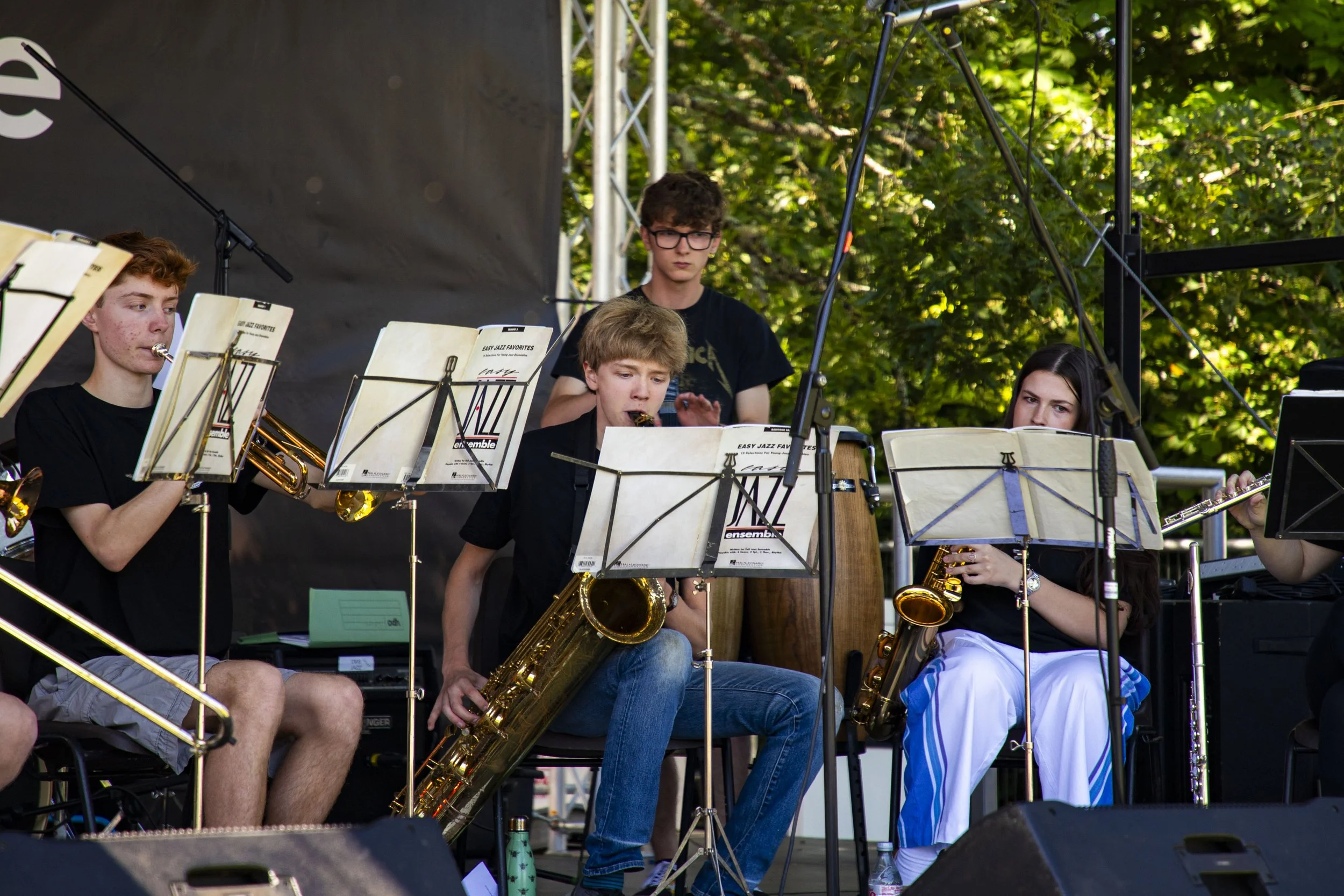 13-06-26_WTC_FolkFestival_YouthTakeover_2.jpg