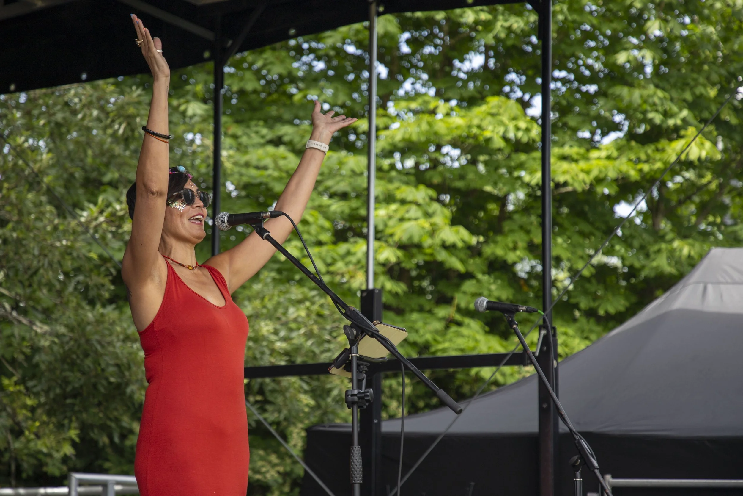 14-06-26_WTC_FolkFestival_BattleOfTheBands_88.jpg