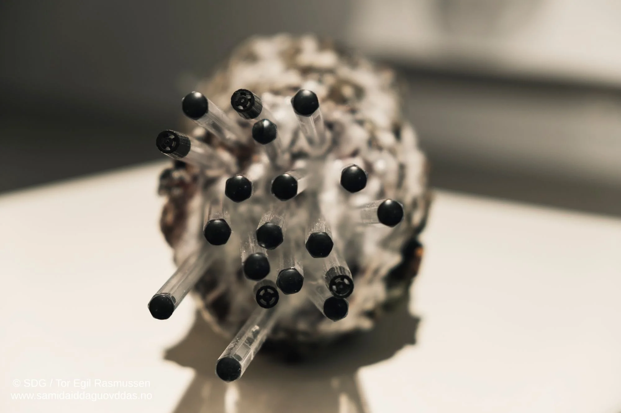 okside rihpesieh-13.jpg