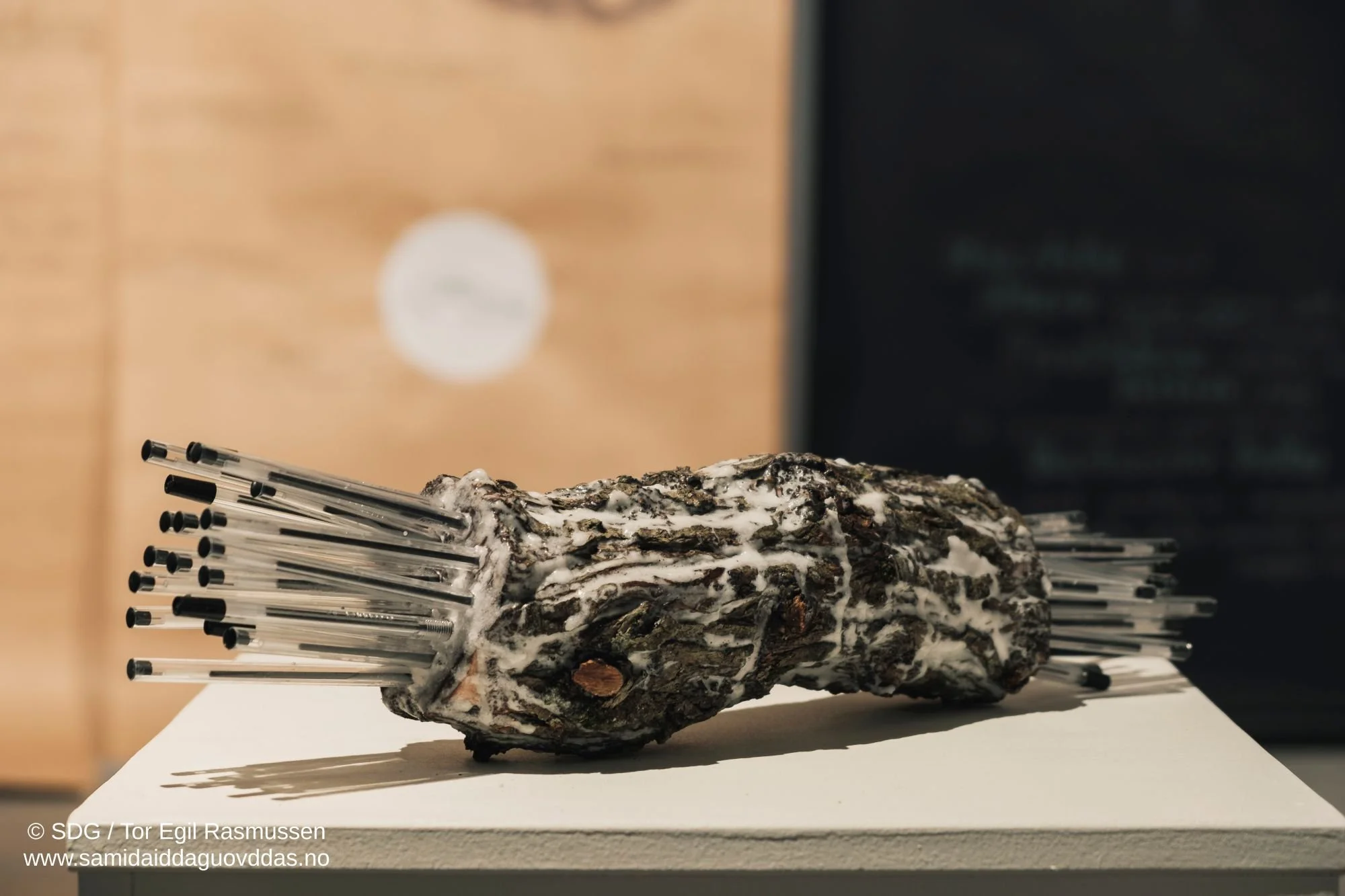 okside rihpesieh-15.jpg