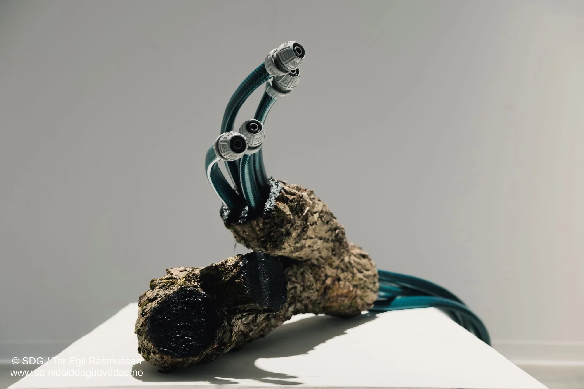 okside rihpesieh-17.jpg