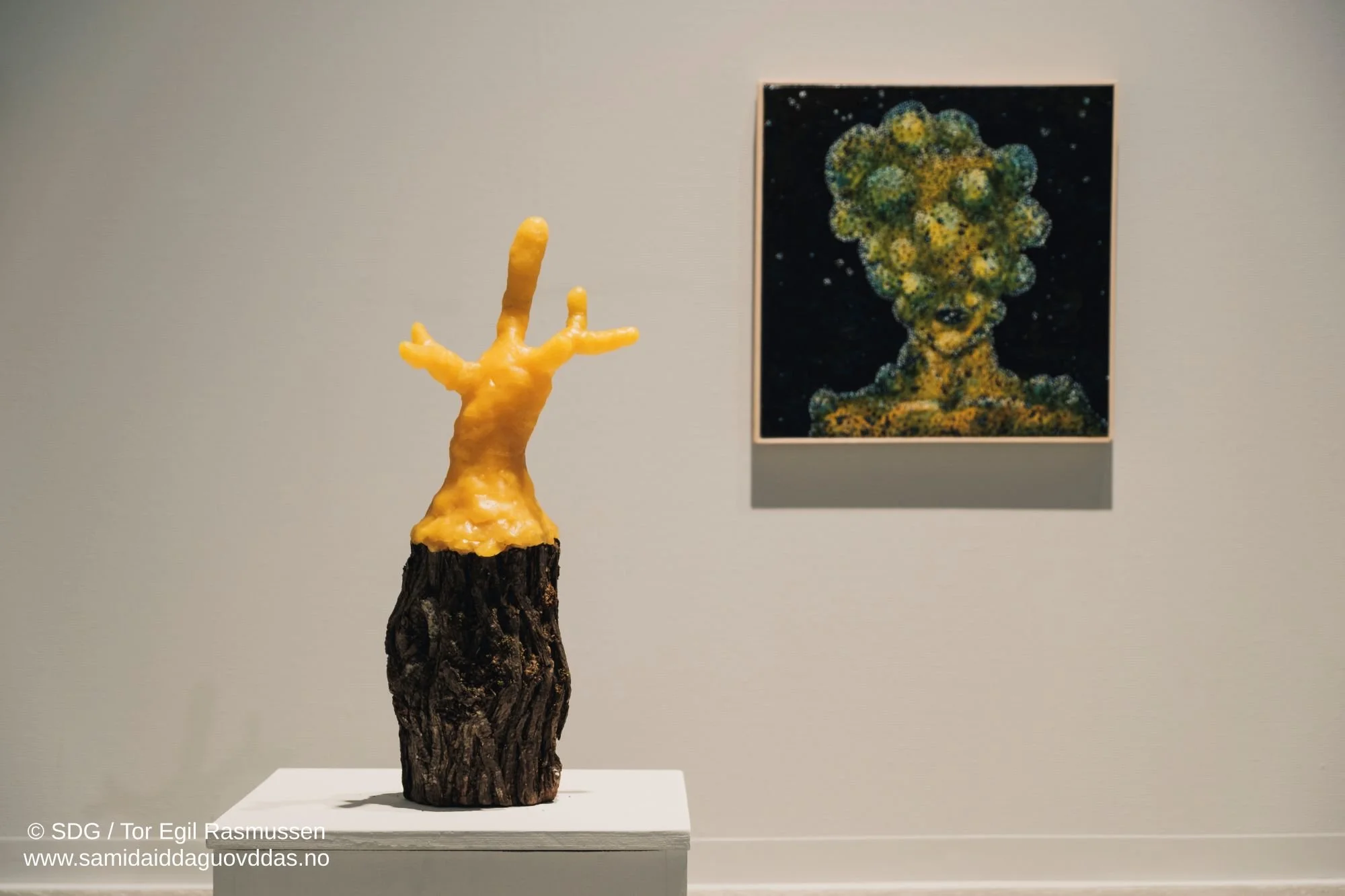 okside rihpesieh-12.jpg