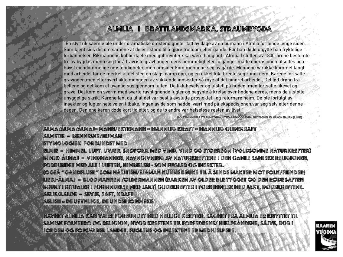 almlia-gand copy.jpg