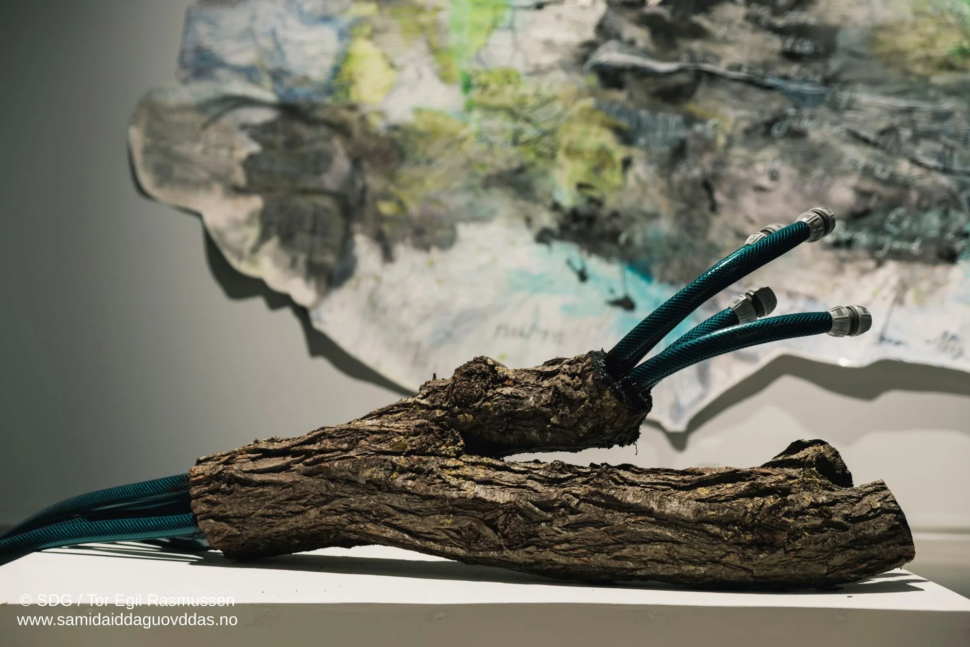 okside rihpesieh-16.jpg