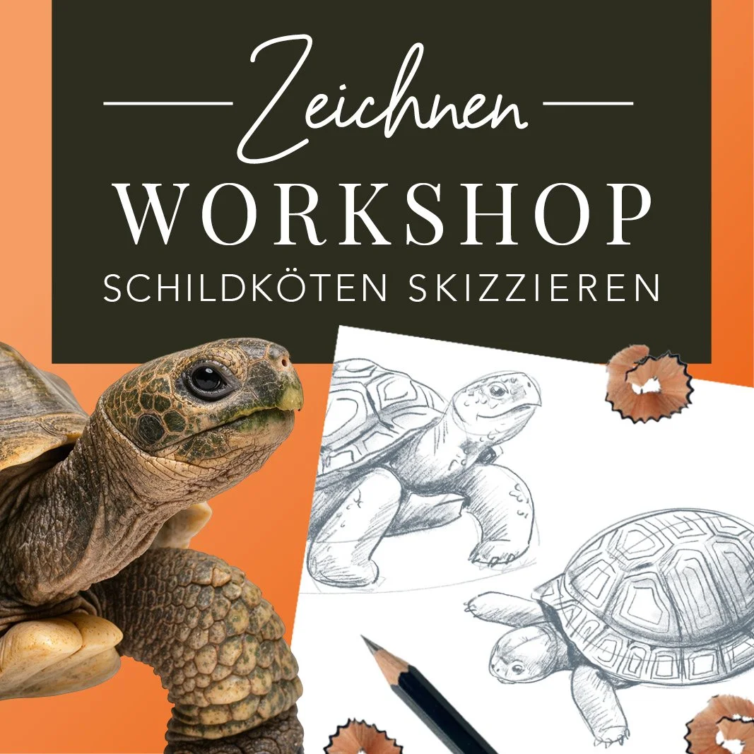 MND_Workshop_Schildkröten_zeichnen.jpg