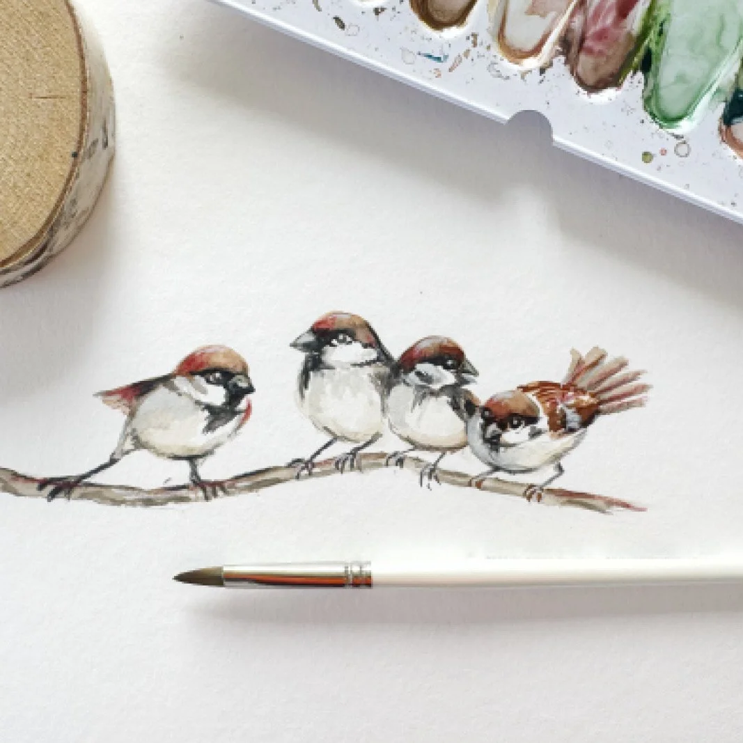 MND_Workhsop_Spatzen_aquarell2.jpg