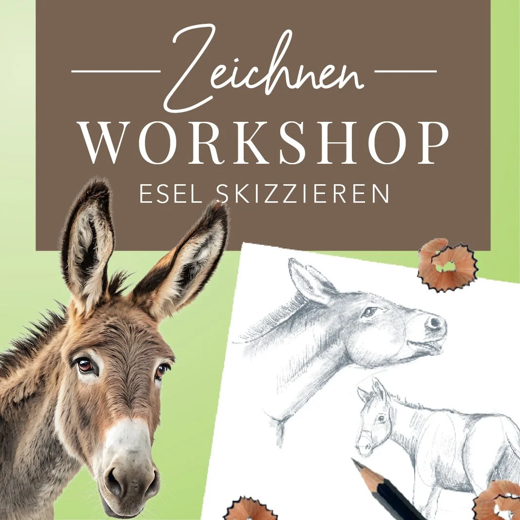 MissNiceDay_Workhsop_Esel_zeichnen.jpg