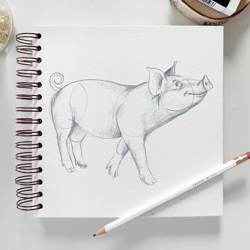 MND_Workshop_Schweine_zeichnen2.jpg
