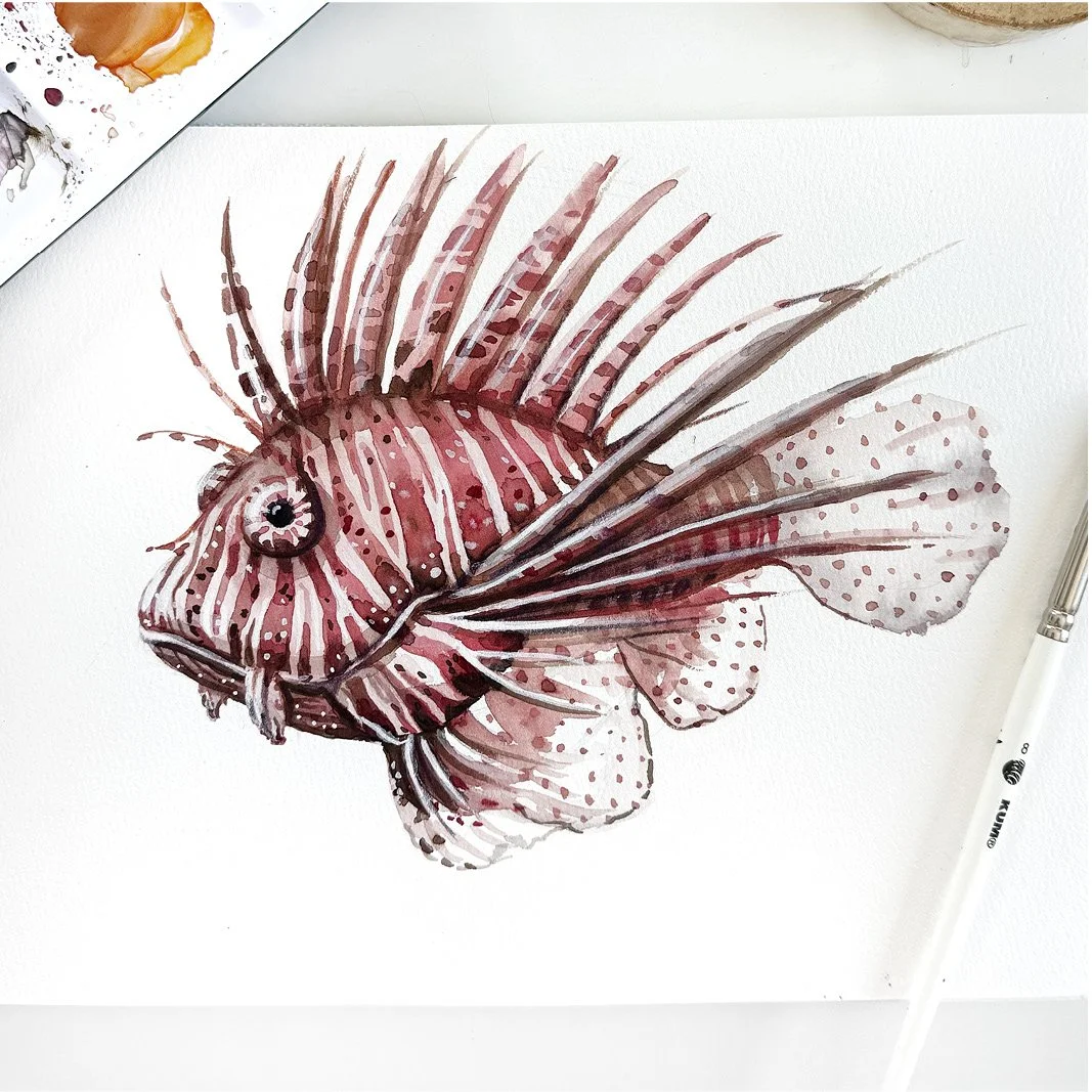 MND_Rotfeuerfisch_Aquarell_Workshop2.jpg