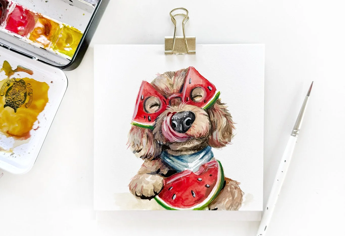 Sweet Watermelon Labradoodle