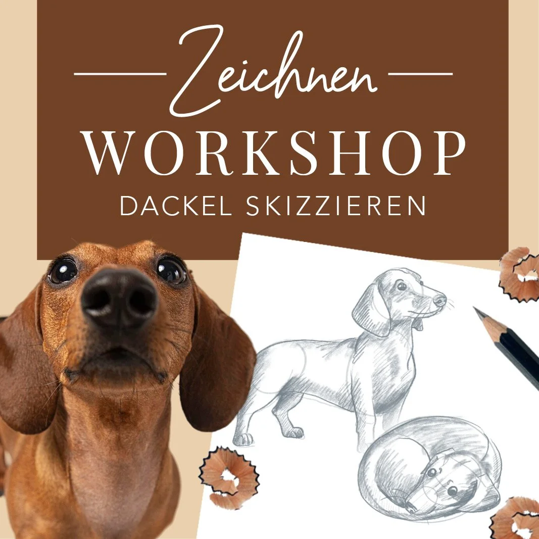 29.12.2026 - Online Workshop Dackel zeichnen