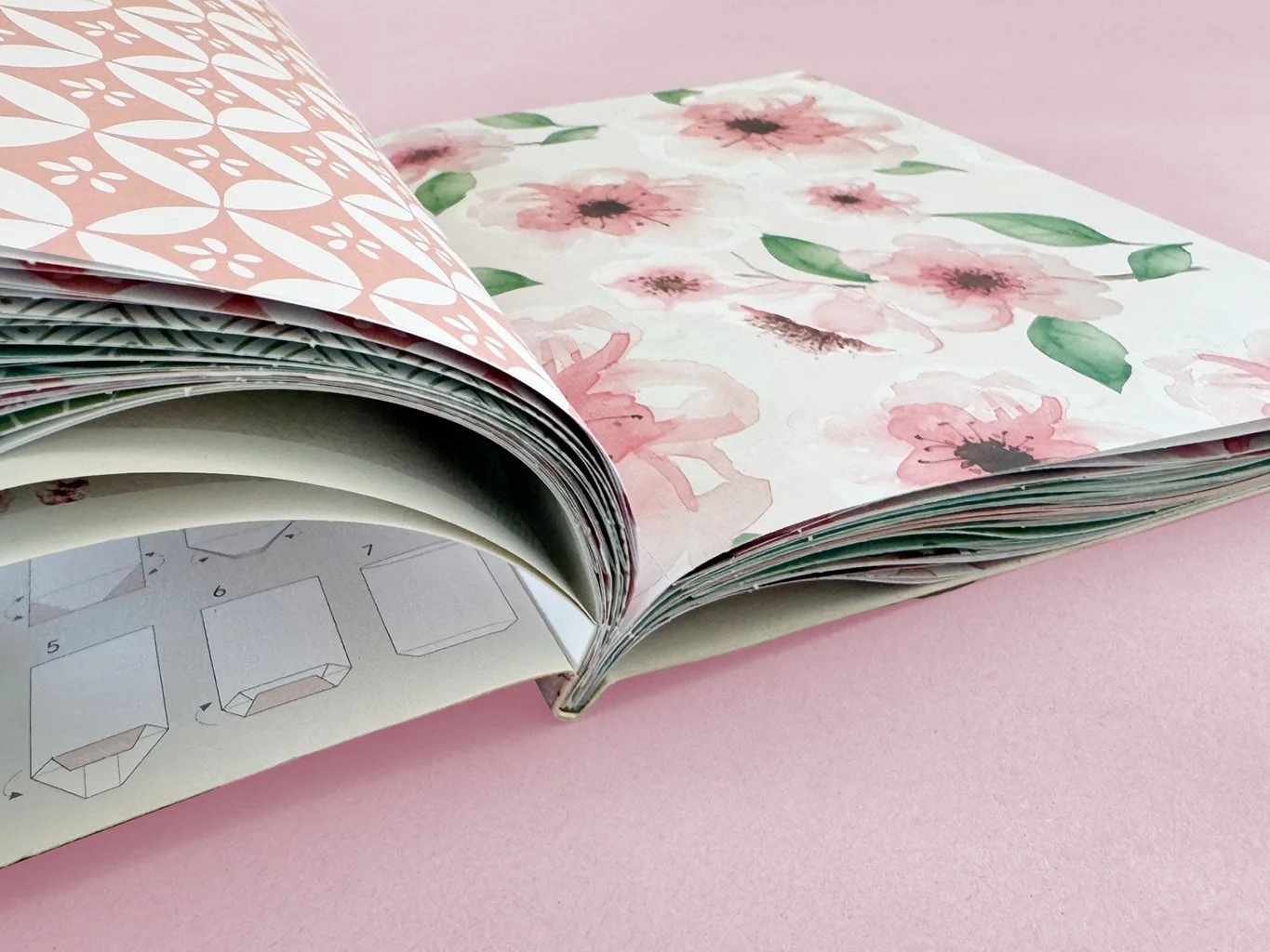 NiceDay Hompage_Kirschblüten5.jpg