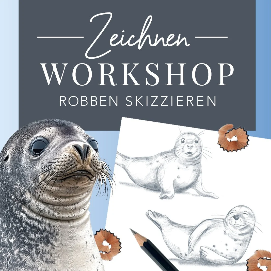MND_Workhsop_Robben_zeichnen2.jpg