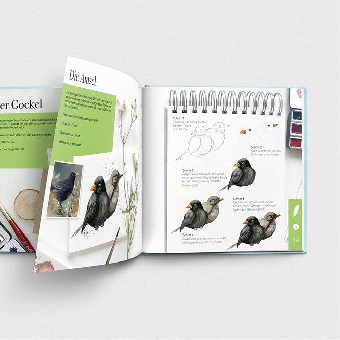 NiceDay Hompage_heimischeVögel_offen.jpg