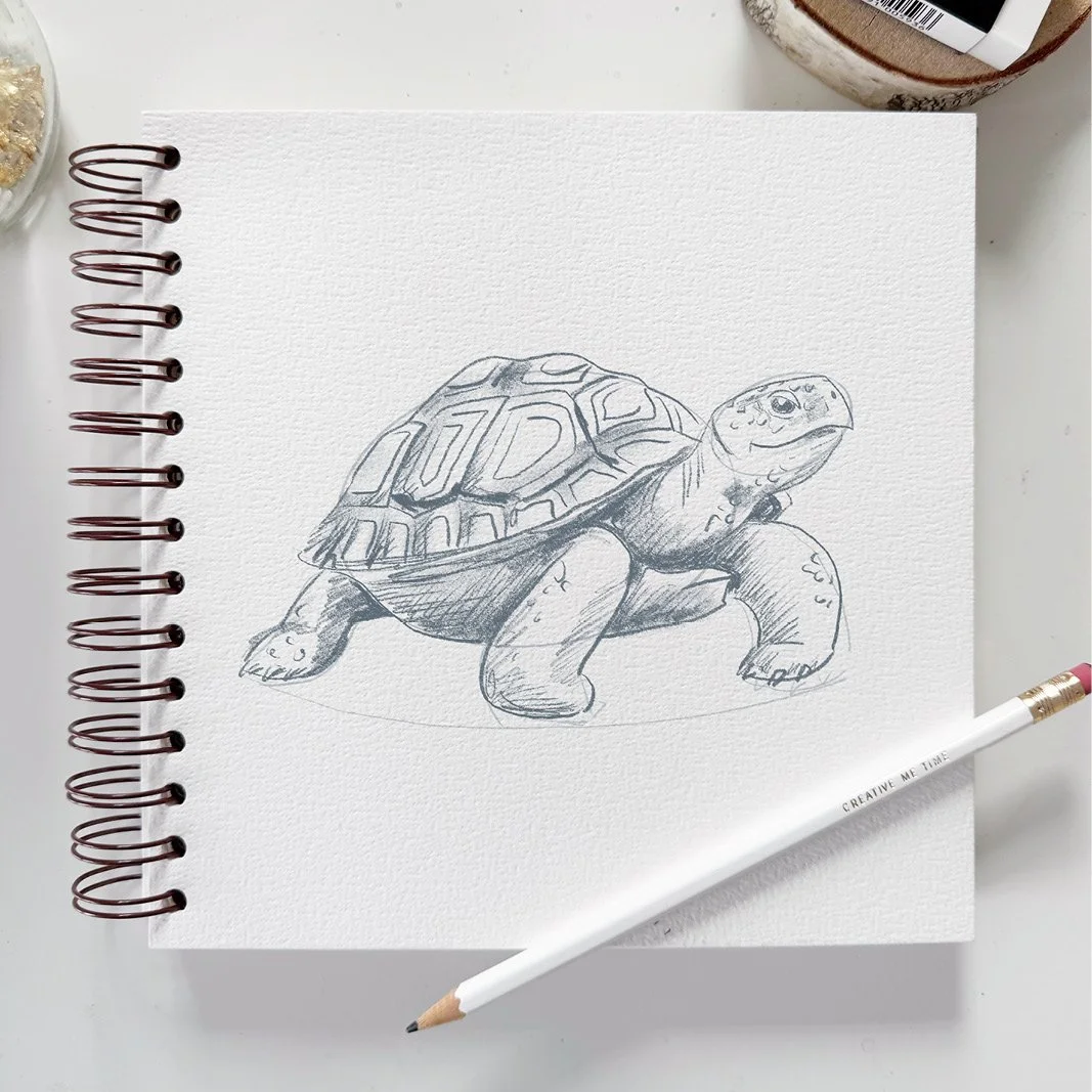 MND_Workshop_Schildkröten_zeichnen2.jpg