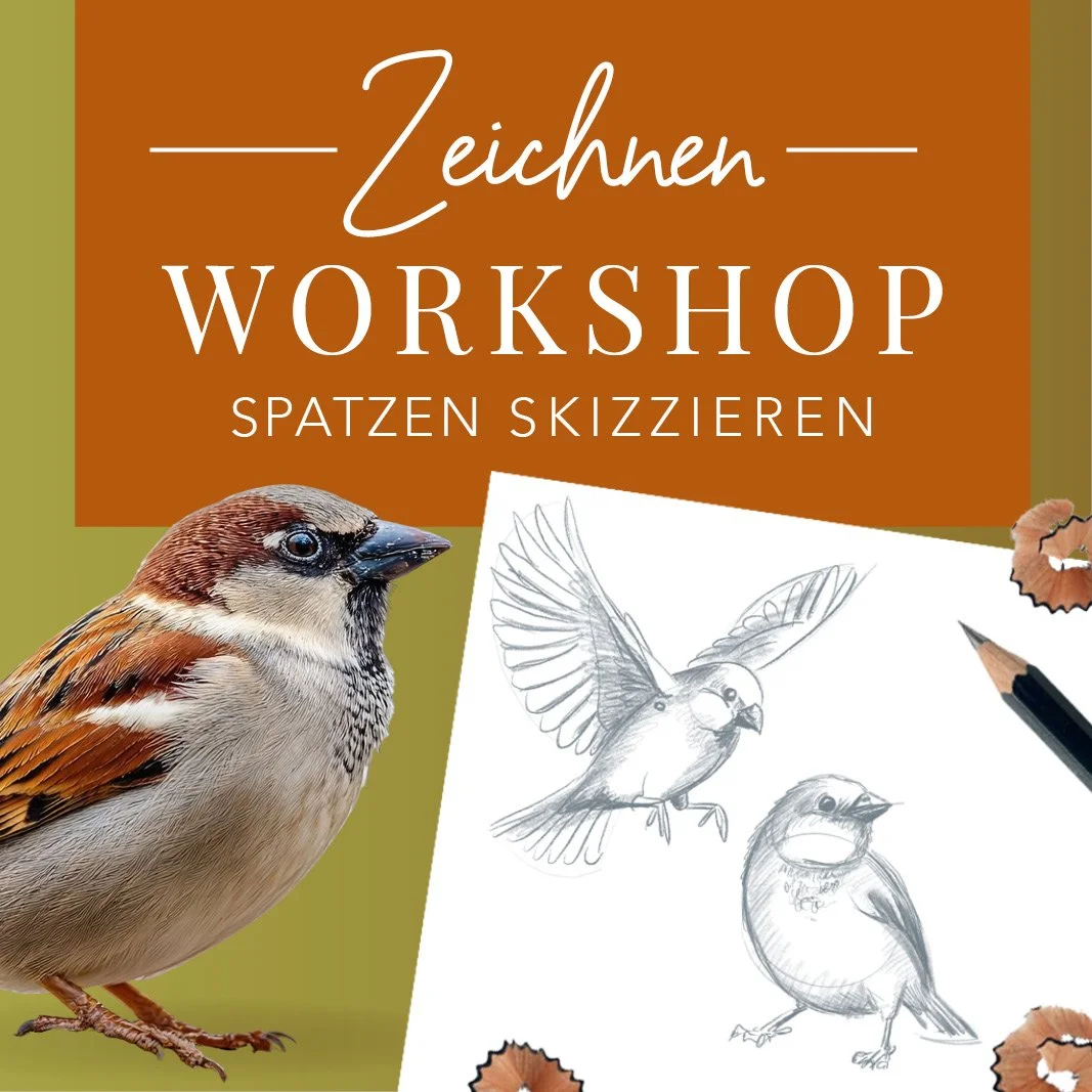 MND_Workshop_Spatzen_zeichnen.jpg